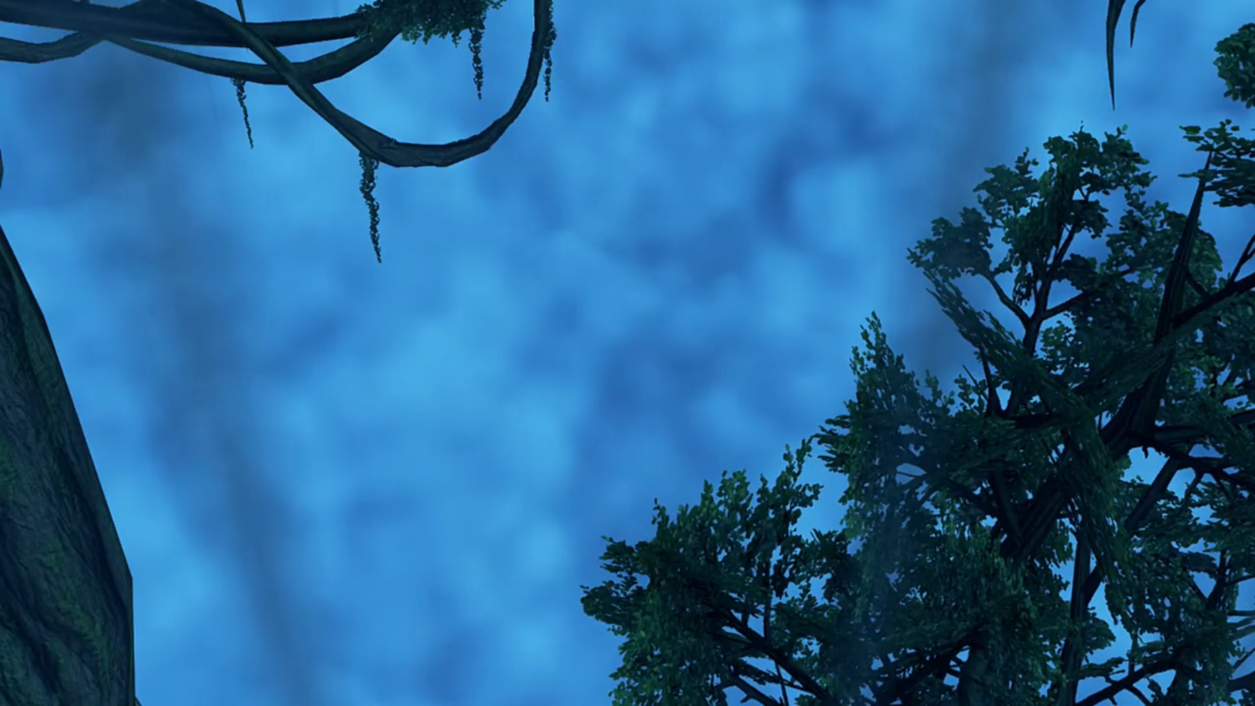 Cloud Sea Below Tora's House