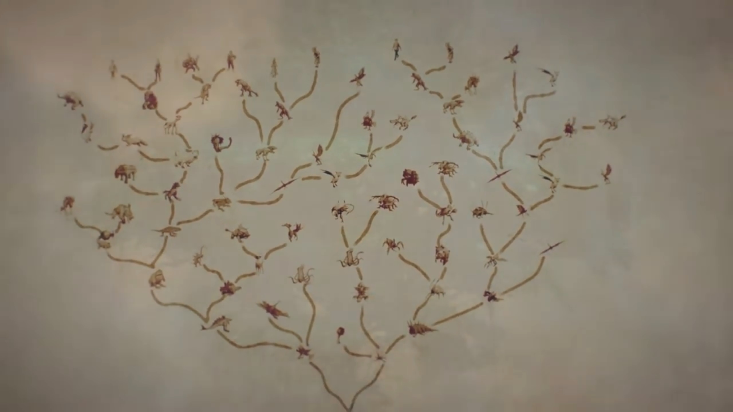 The tree of Evolution