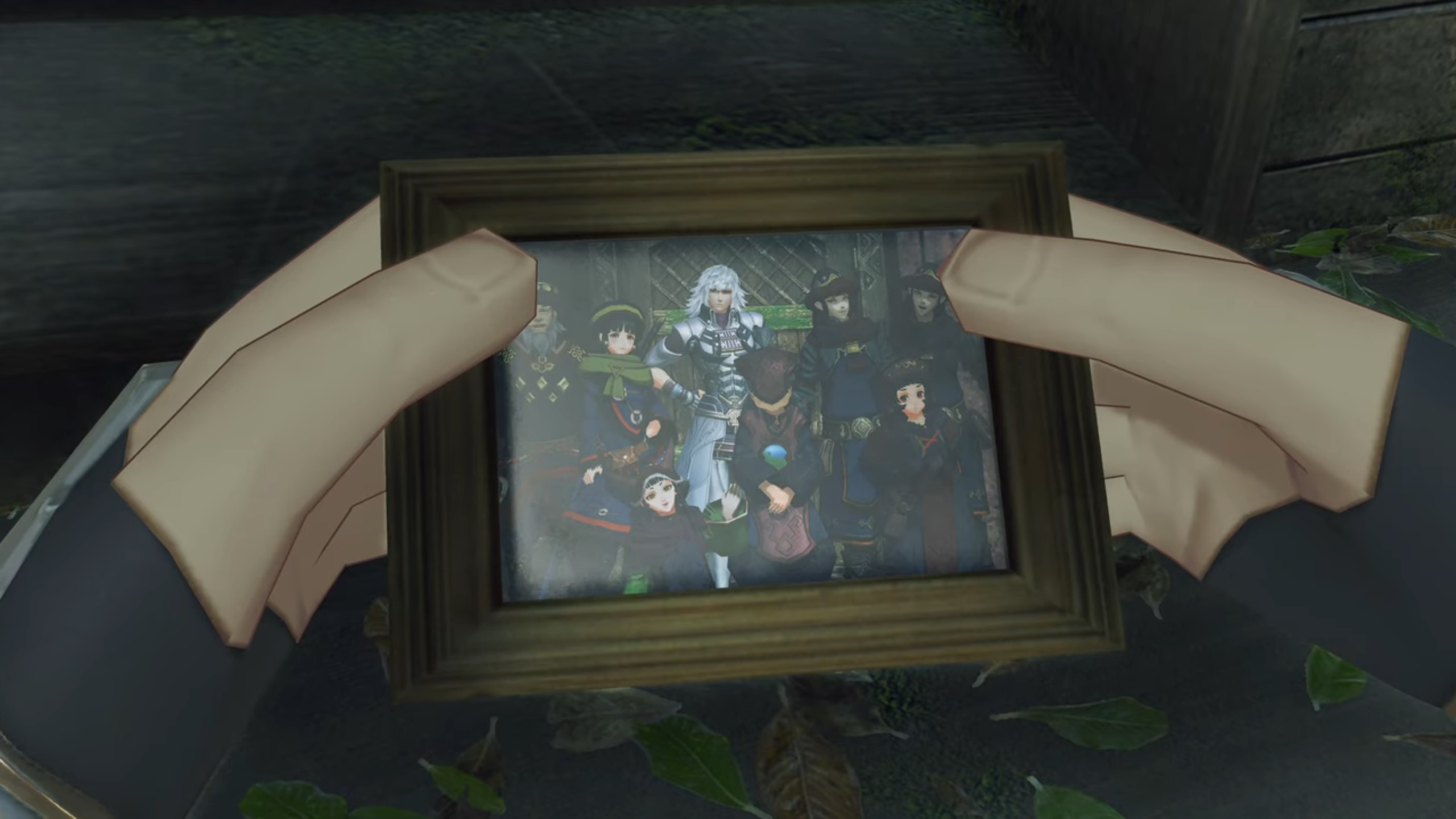 The Frame